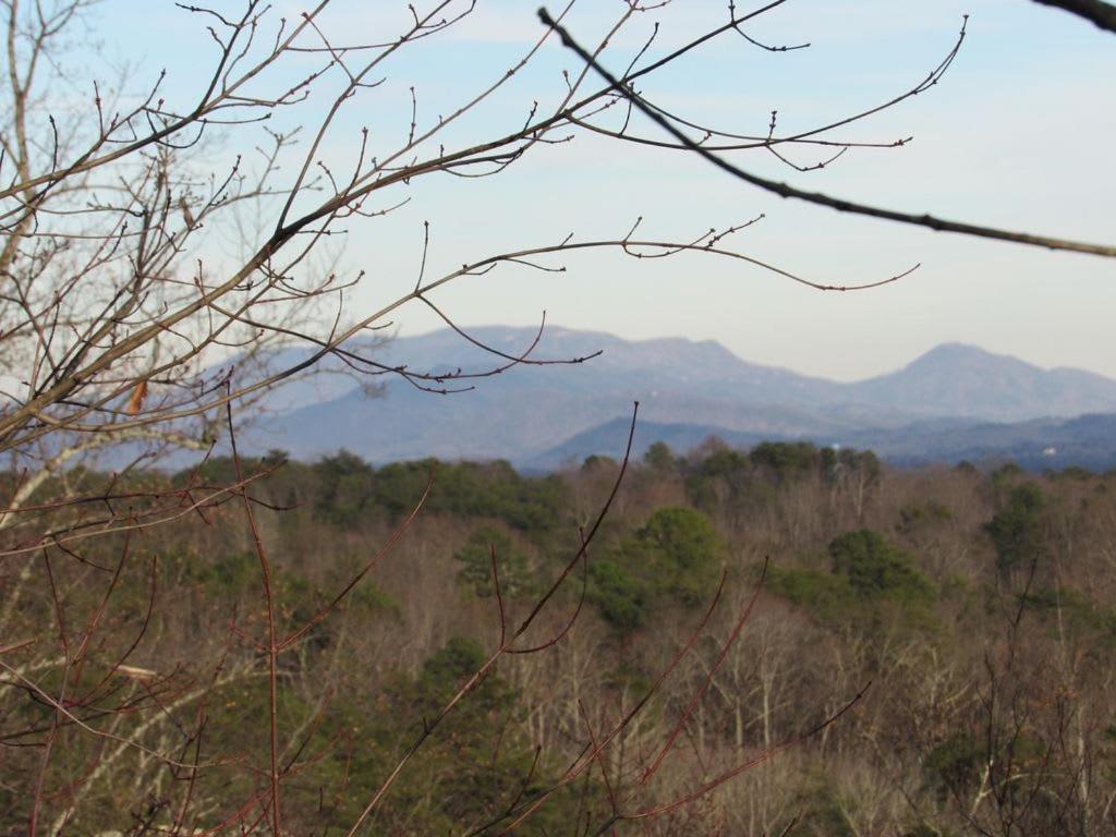 View! Cozy, Private, Fireplace, Hot Tub Log Cabin, Honeymoon! Sevierville Esterno foto